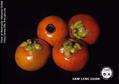 button mangosteen